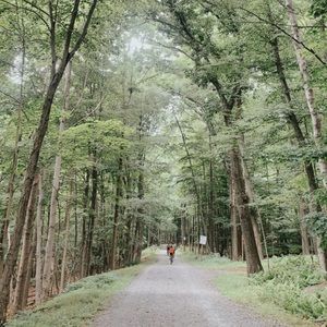 Meet your Posher, Maya